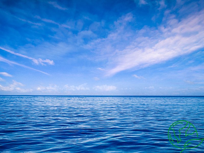 Support The Ocean Cleanup with AI Marketing